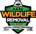 Verona Wildlife Removal